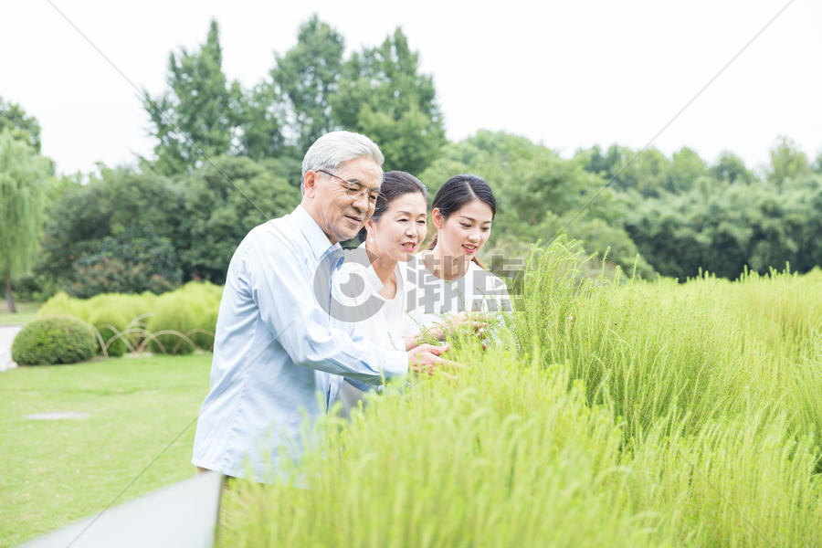 幸福一家人欣赏绿植图片素材免费下载