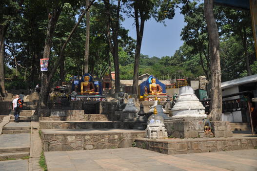 尼泊尔加德满都斯瓦扬布纳寺猴庙图片素材免费下载