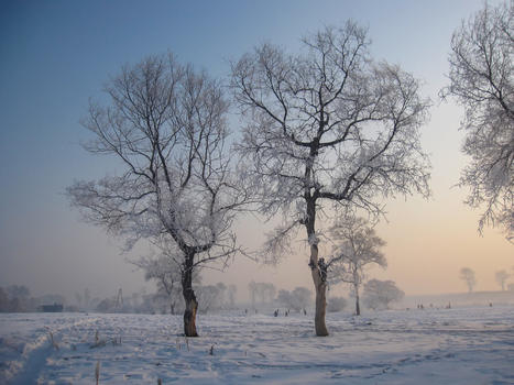 雾凇岛风景图片素材免费下载