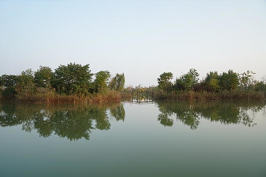 泗洪洪泽湖湿地公园图片素材免费下载
