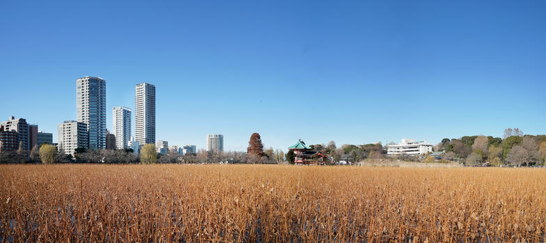 日本东京城市风光图片素材免费下载