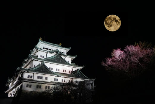 日本名古屋天守阁夜景图片素材免费下载