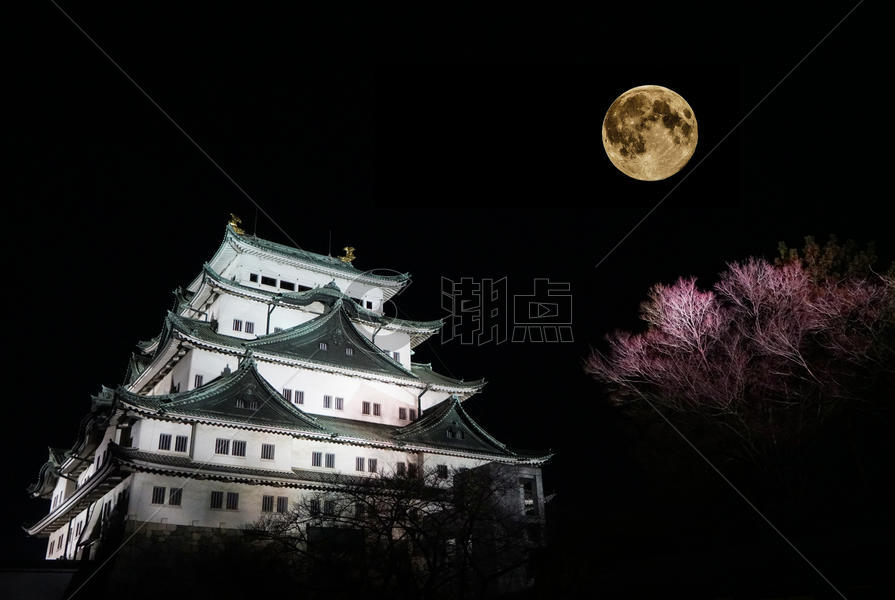 日本名古屋天守阁夜景图片素材免费下载