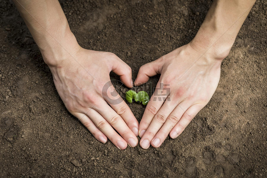 双手呵护泥土里的嫩芽小草图片素材免费下载