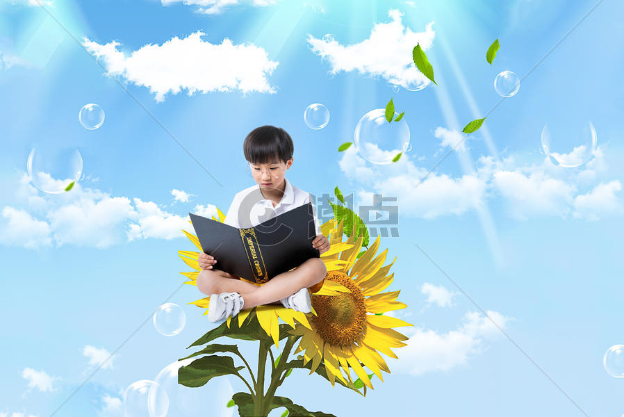 坐在向日葵上读书的男孩图片素材免费下载