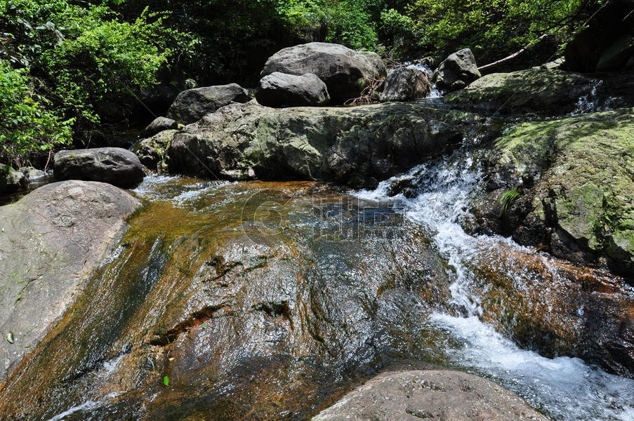 桐庐大奇山国家森林公园图片素材免费下载