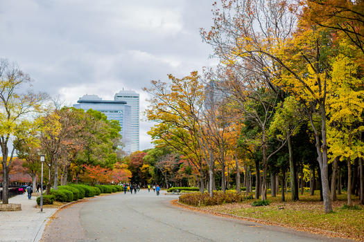 日本秋天的街道图片素材免费下载