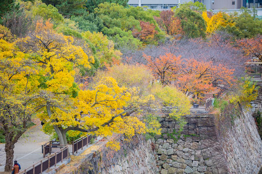 日本大阪城秋景图片素材免费下载