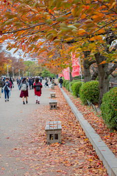 日本秋景图片素材免费下载