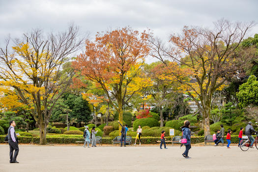 日本大阪城公园秋景图片素材免费下载