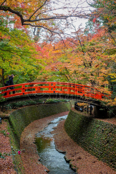 日本京都天龙寺风景图片素材免费下载