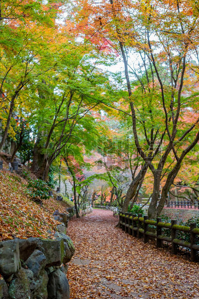 日本京都天龙寺风景图片素材免费下载