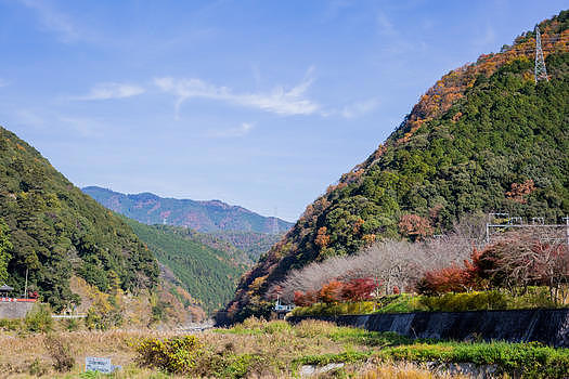 日本嵯峨野秋景图片素材免费下载