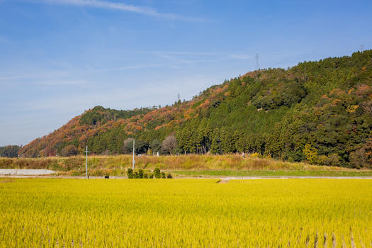 日本秋景秋收图片素材免费下载