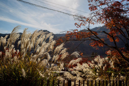 日本京都风景图片素材免费下载