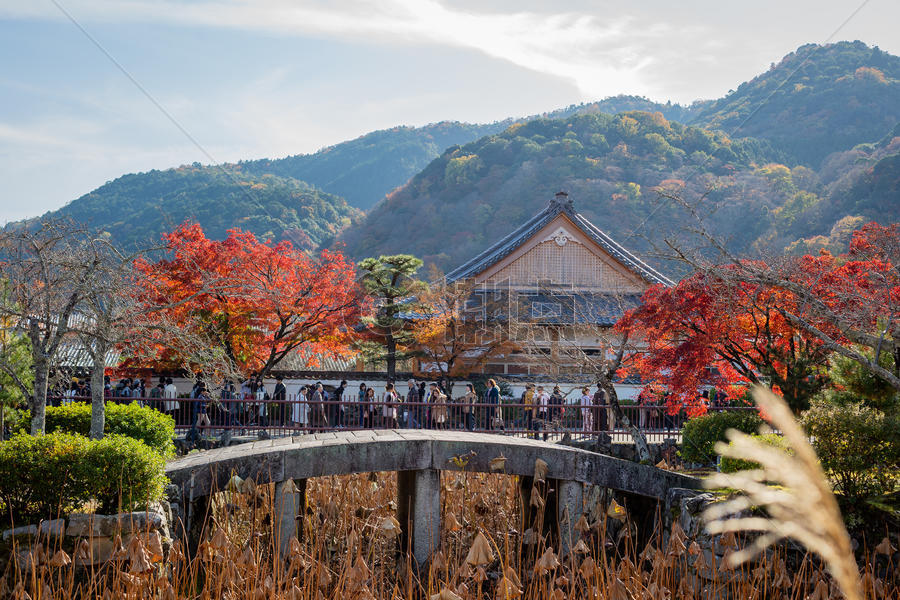 日本京都天龙寺秋景图片素材免费下载