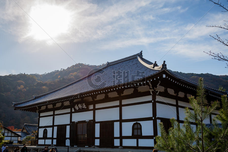 日本天龙寺风景图片素材免费下载