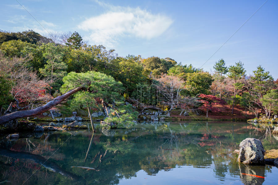 日本京都天龙寺秋景图片素材免费下载