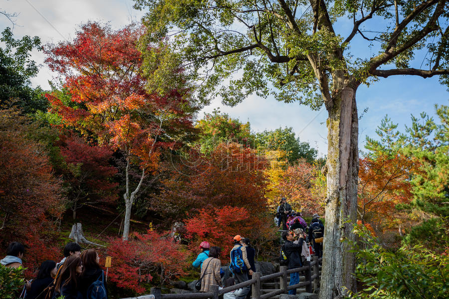 日本京都秋景图片素材免费下载