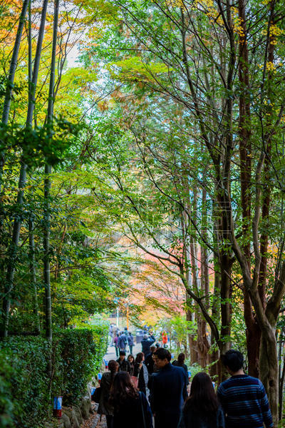 日本秋景图片素材免费下载