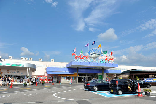 日本白滨TORETORE海鲜市场图片素材免费下载