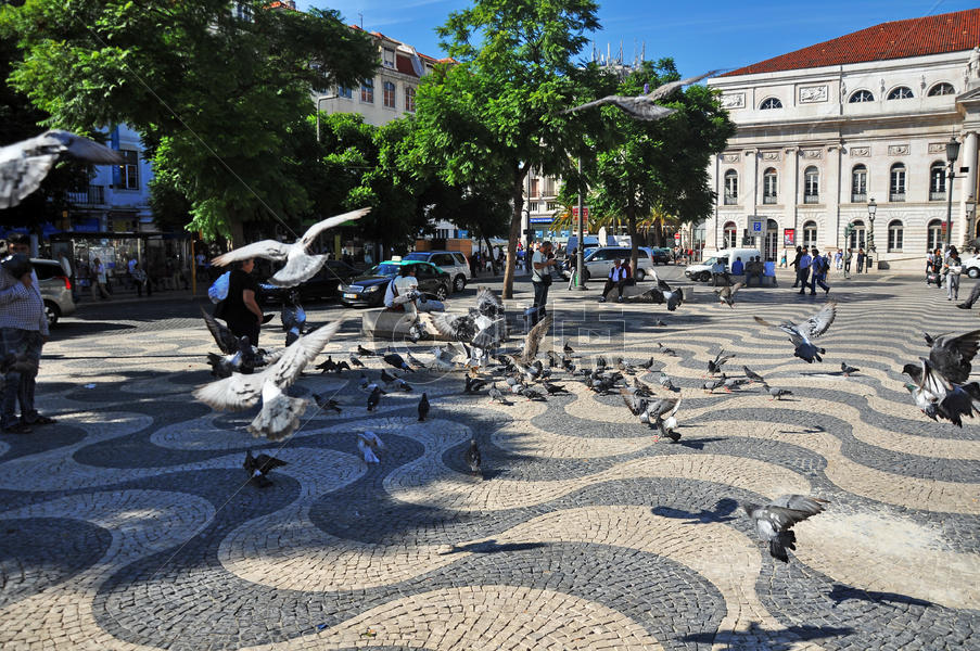 葡萄牙里斯本贝伦区广场鸽图片素材免费下载