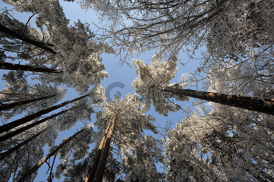 黄山雪景图片素材免费下载