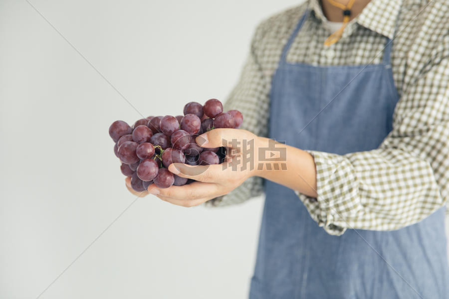 葡萄成熟丰收图片素材免费下载