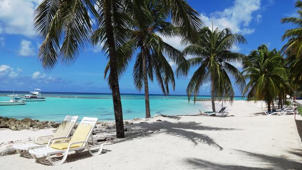 巴巴多斯美丽的海与沙滩风光图片素材免费下载