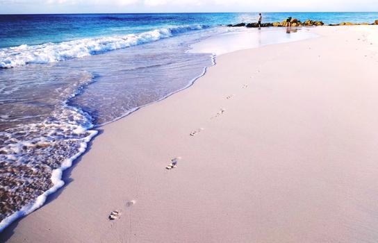 巴巴多斯迷人的粉色沙滩图片素材免费下载
