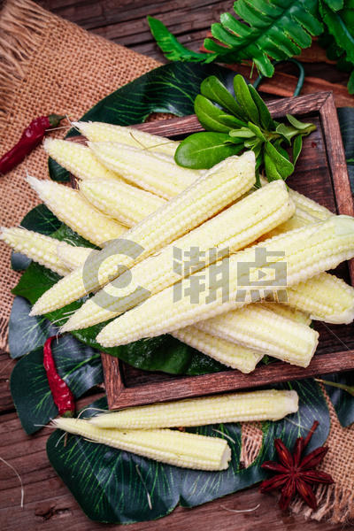 新鲜玉米笋图片素材免费下载