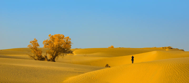 拍摄沙漠的摄影师图片素材免费下载