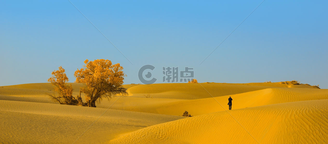 拍摄沙漠的摄影师图片素材免费下载