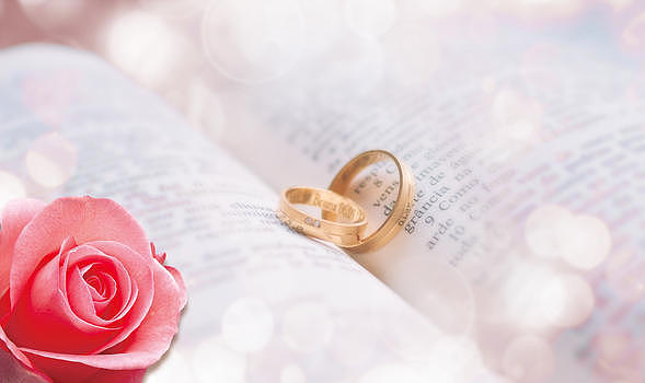 婚礼戒指图片素材免费下载