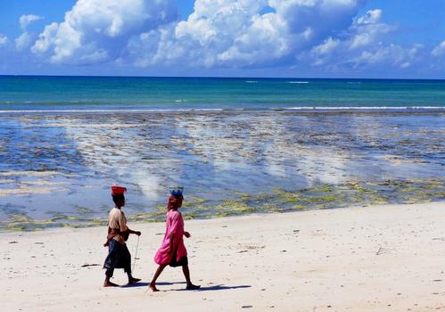 莫桑比克海峡风光珊瑚滩涂退潮后赶海人图片素材免费下载