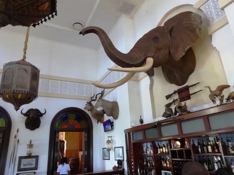 莫桑比克酒店内酒吧墙饰动物崇拜图片素材免费下载