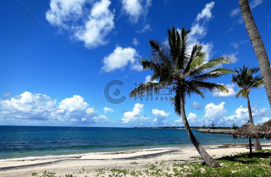 莫桑比克海峡风光蓝天白云椰树海风图片素材免费下载