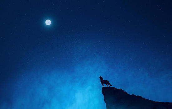 孤狼啸月图片素材免费下载