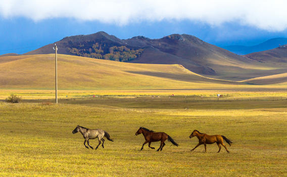 内蒙古自治区乌兰布统景区秋色图片素材免费下载