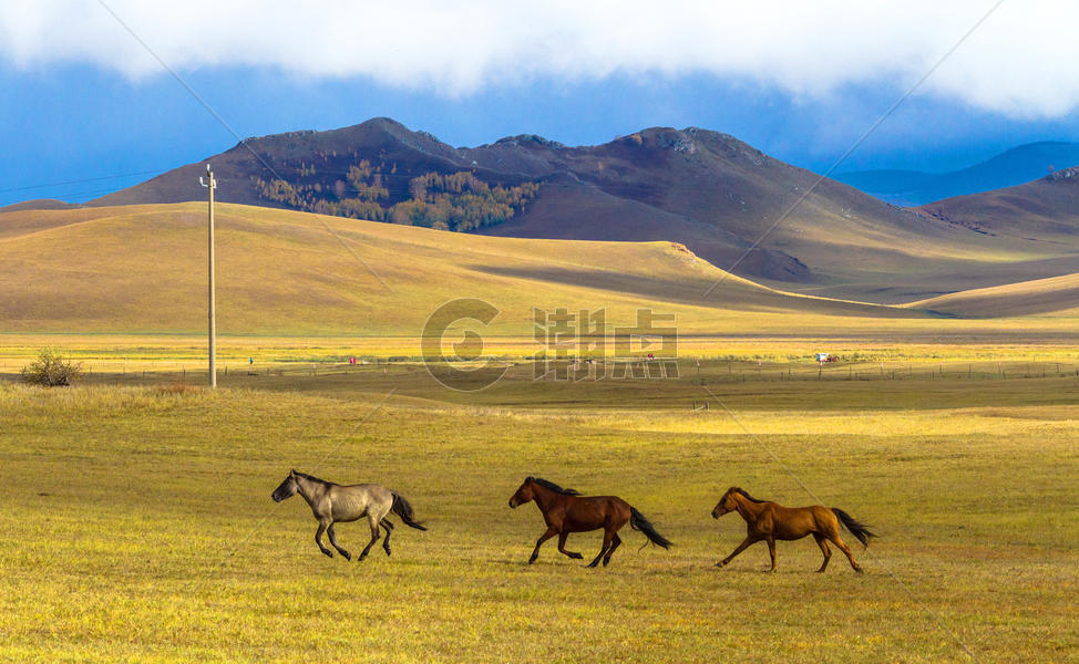 内蒙古自治区乌兰布统景区秋色图片素材免费下载