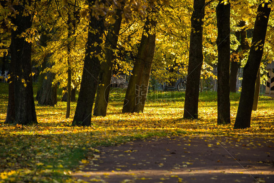 俄罗斯园林秋景图片素材免费下载