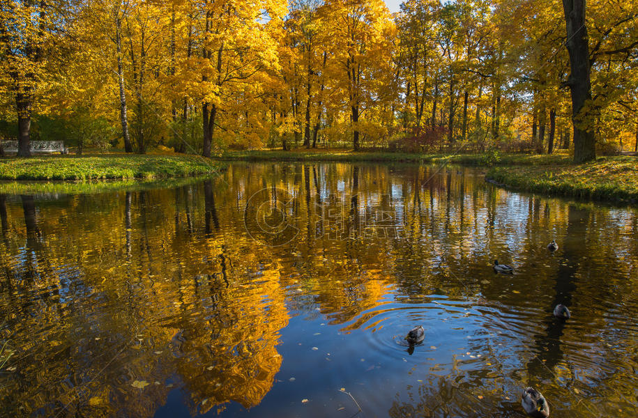 俄罗斯最美的园林秋色图片素材免费下载