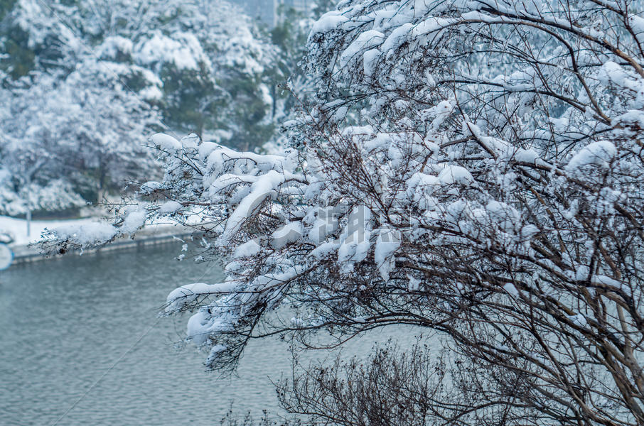大雪后的天鹅湖公园图片素材免费下载