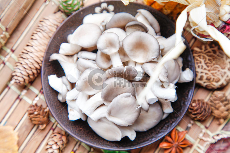 新鲜蘑菇图片素材免费下载