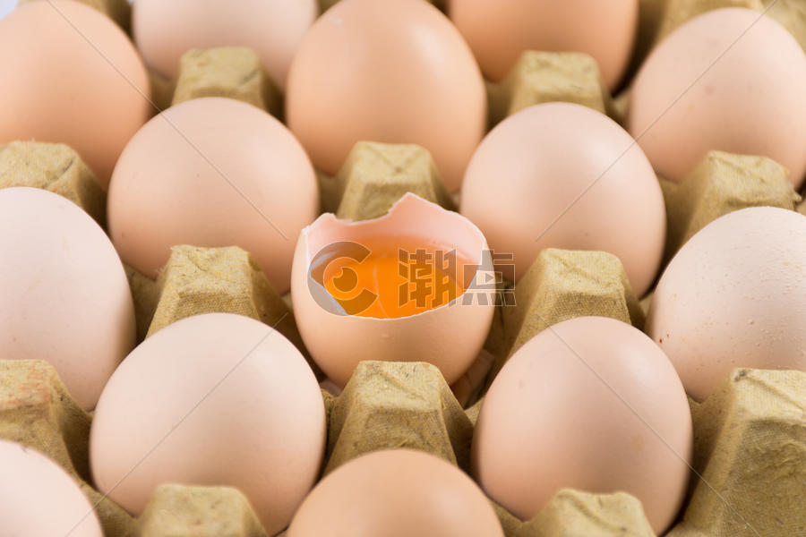 新鲜的生鸡蛋图片素材免费下载