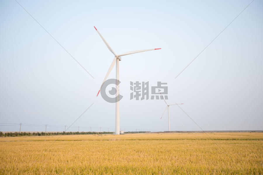 稻田风力发电机图片素材免费下载