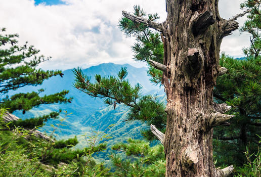西安朱雀山国家森林公园图片素材免费下载