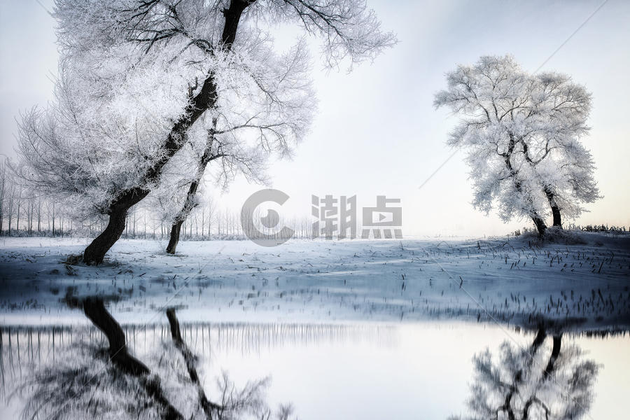 冬季雾凇图片素材免费下载