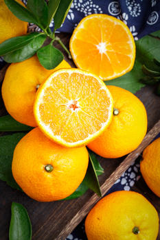 新鲜果冻橙图片素材免费下载