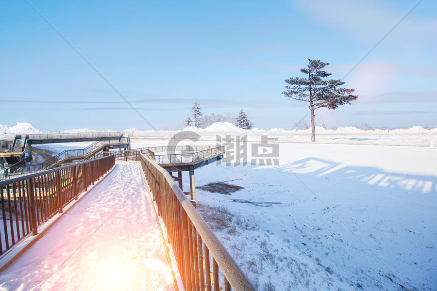 冬季雪花图片素材免费下载